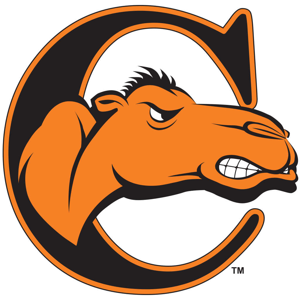 Camel head logo